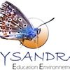 Logo of the association LYSANDRA Education Environnement